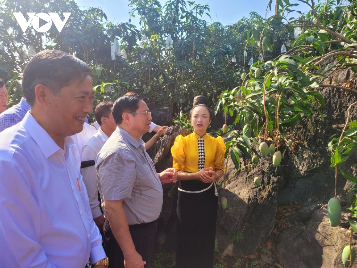 Thủ tướng Chính phủ Phạm Minh Chính đi thăm vùng sản xuất nông nghiệp xã Hát Lót, huyện Mai Sơn