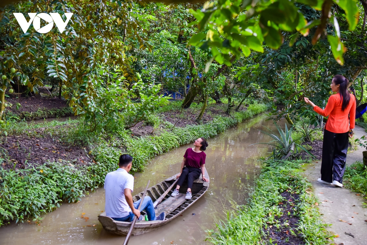 Tour miệt vườn sông nước thu hút khách đến Cần Thơ