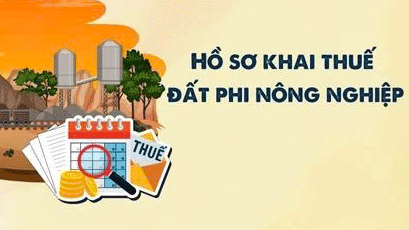 ho so khai thue su dung dat phi nong nghiep gom nhung giay to gi hinh anh 1