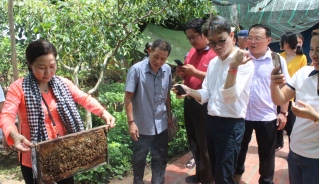 Khách du lịch tìm hiểu nghề nuôi mật ong ở huyện Long Hồ, tỉnh Vĩnh Long