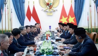 Tổng thống Prabowo Subianto và Tổng Bí thư Tô Lâm hội đàm. Ảnh: Thống Nhất/TTXVN