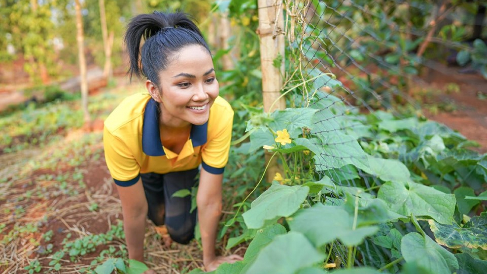 H'Hen Niê chi tiêu mùa dịch: “Ở quê, có những ngày không tiêu đồng nào“