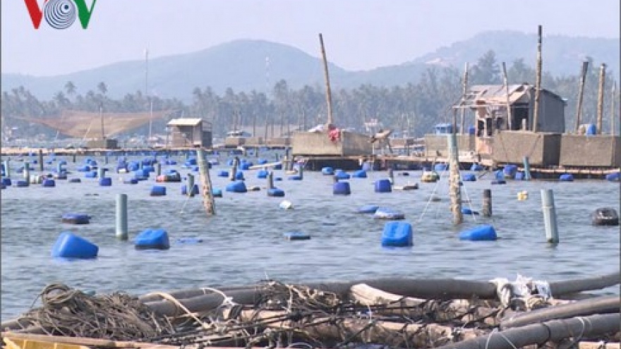 Tắc đầu ra ngành thủy sản do “bão” dịch, ngư dân lao đao