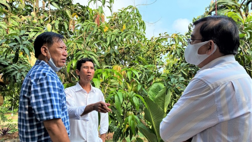 Chợ Mới - vùng đất giải phóng sau cùng của An Giang vươn mình phát triển