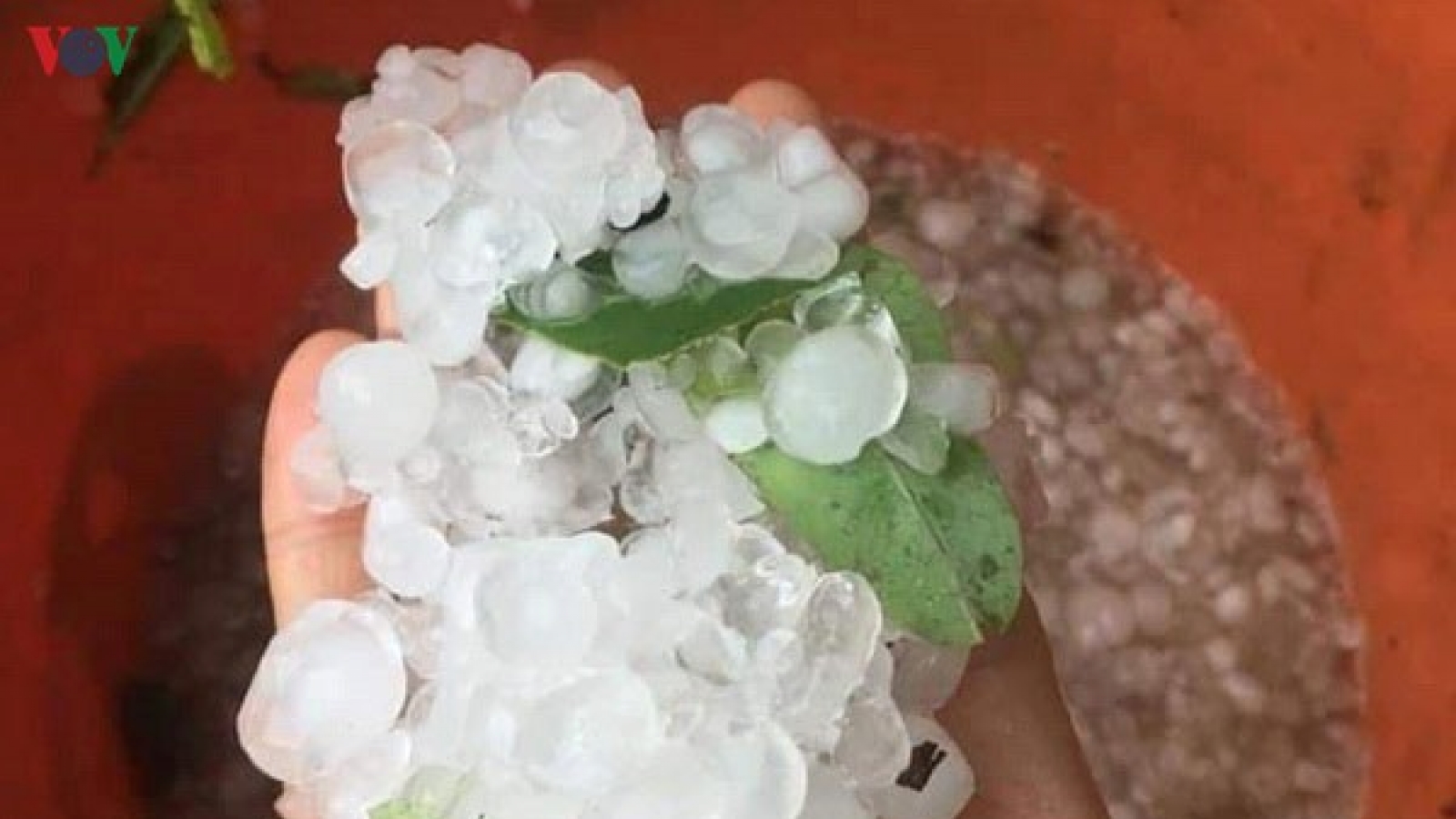 Xuất hiện mưa đá ở Quảng Trị 