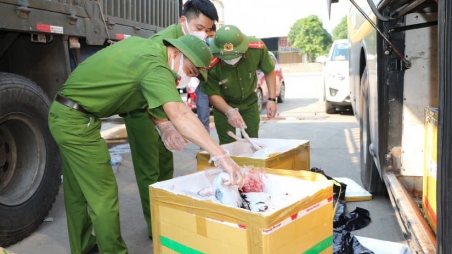 Hà Tĩnh: Bắt giữ xe khách vận chuyển 800 kg thực phẩm bốc mùi hôi thối 