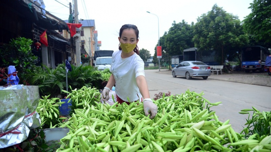 Người dân thôn Hạ Lôi gom hoa màu, chờ thời khắc dỡ bỏ cách ly