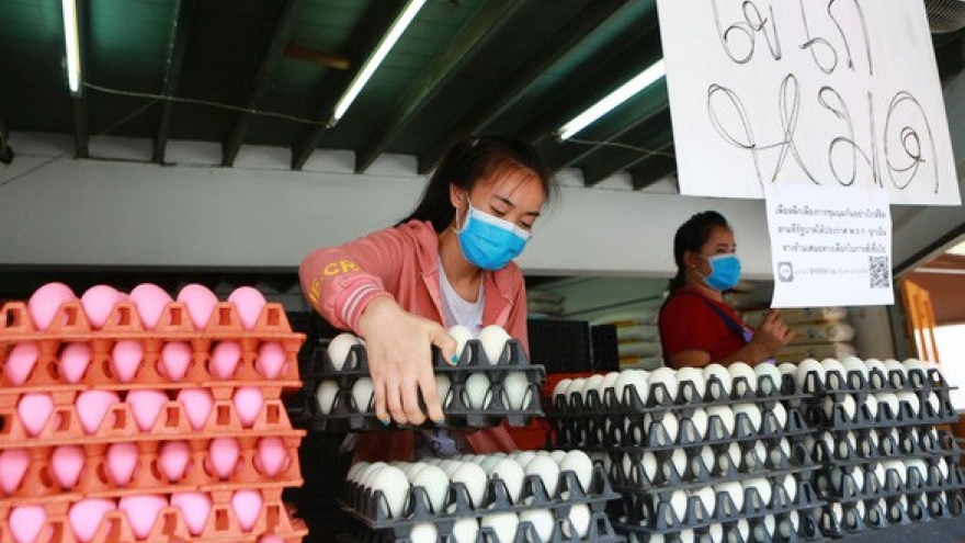 Thái Lan cho phép xuất khẩu trứng gà trở lại 
