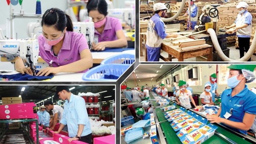 Doanh nghiệp Việt gia tăng xuất khẩu trực tuyến