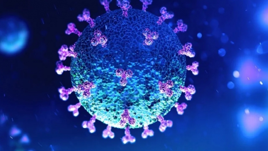 Tình báo Mỹ bác bỏ thông tin virus SARS-CoV-2 do con người tạo ra
