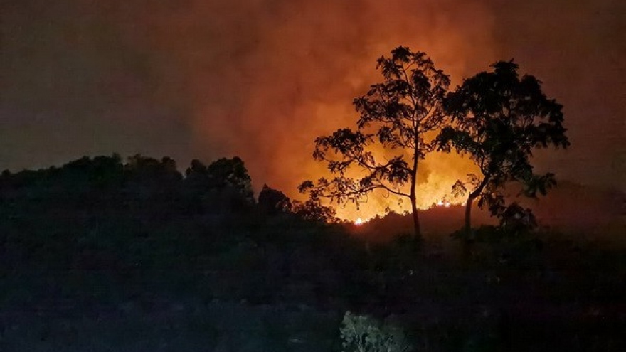 Vụ cháy rừng ở Đà Nẵng: Tiếp tục lan rộng, chưa thể khống chế