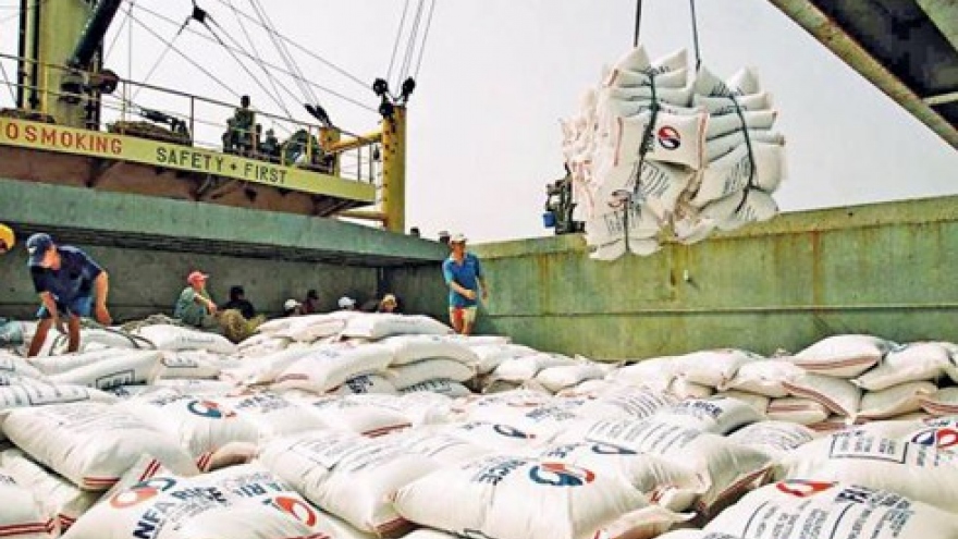 Rice exports to EU anticipated to make breakthroughs through EVFTA