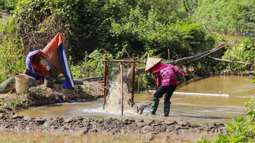 Tái diễn nạn khai thác cát trái phép: Tiếng máy bơm bủa vây buôn làng