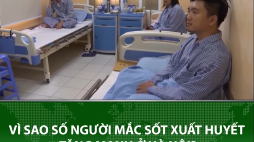 Sốt xuất huyết tăng mạnh tại Hà Nội