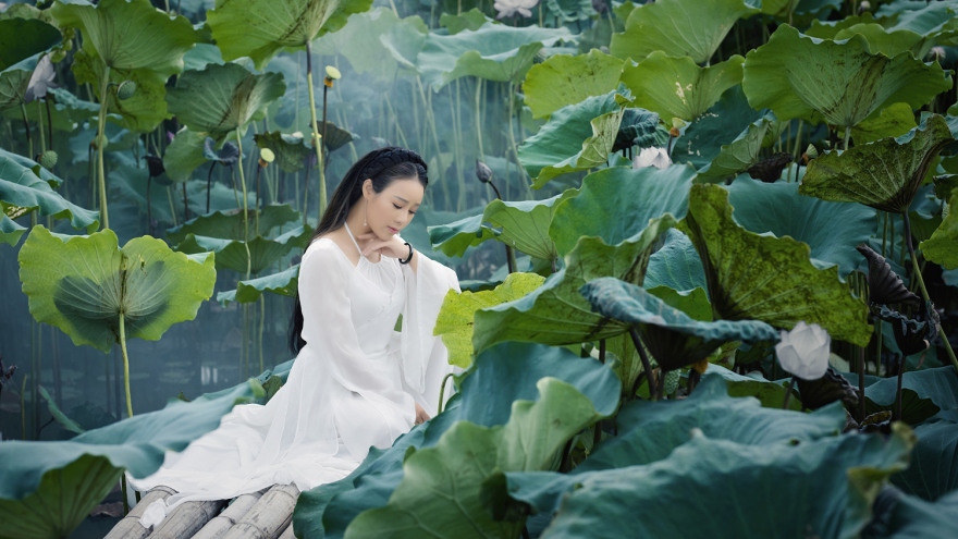 Hoa Trần hoá “tiên nữ vườn sen” trong bản hit của Hoài Lâm