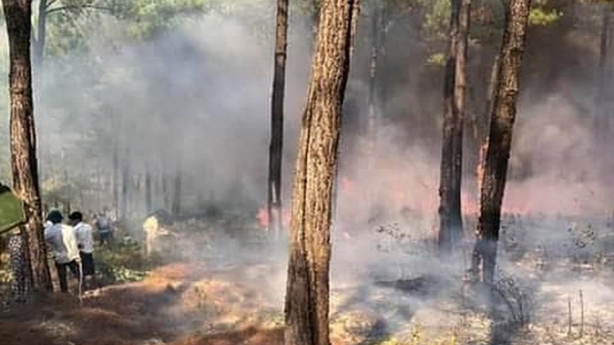 Quảng Bình liên tiếp xảy ra các vụ cháy rừng trong 1 ngày ​