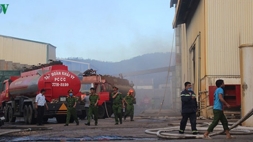 Cháy lớn tại Công ty Nông Trại Xanh ở Bình Định