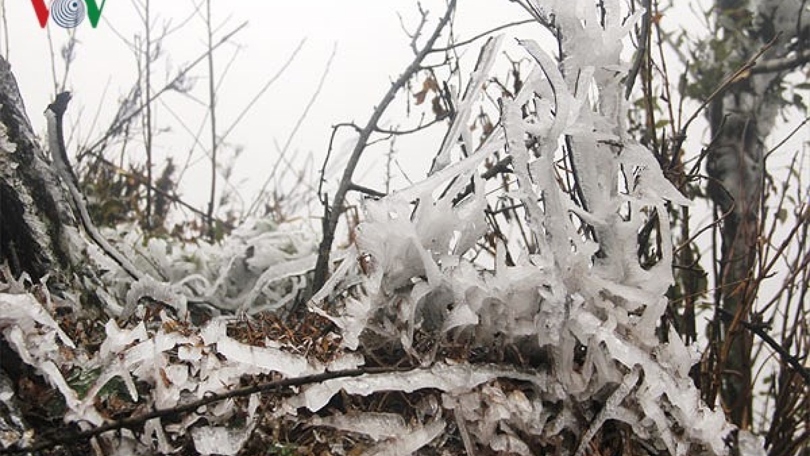 Vietnam to brace for early arrival of extremely cold spells 