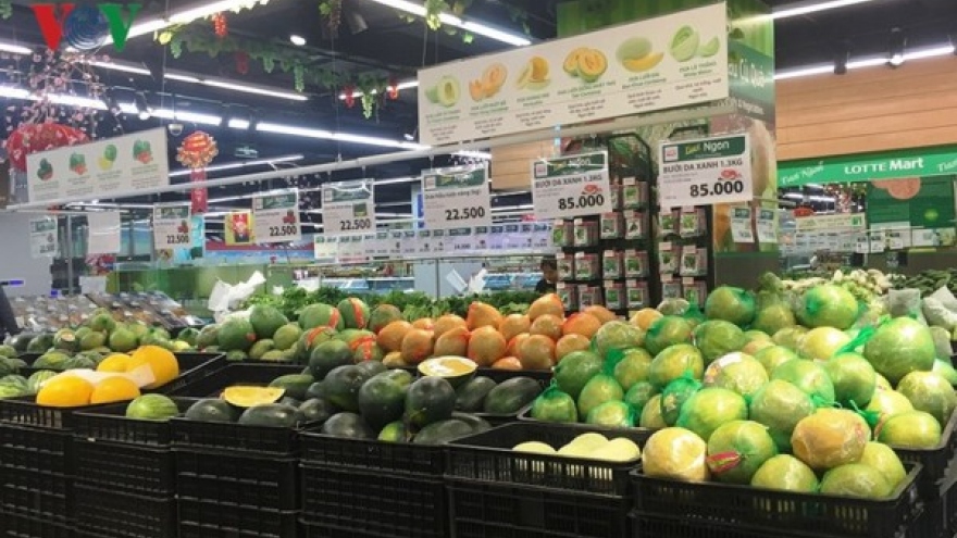 Tìm kiếm cơ hội xuất nhập khẩu trái cây giữa Indonesia và Việt Nam