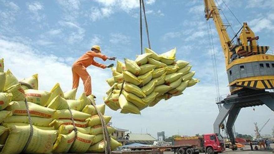 Vietnam emerges as the world’s No2 rice exporter