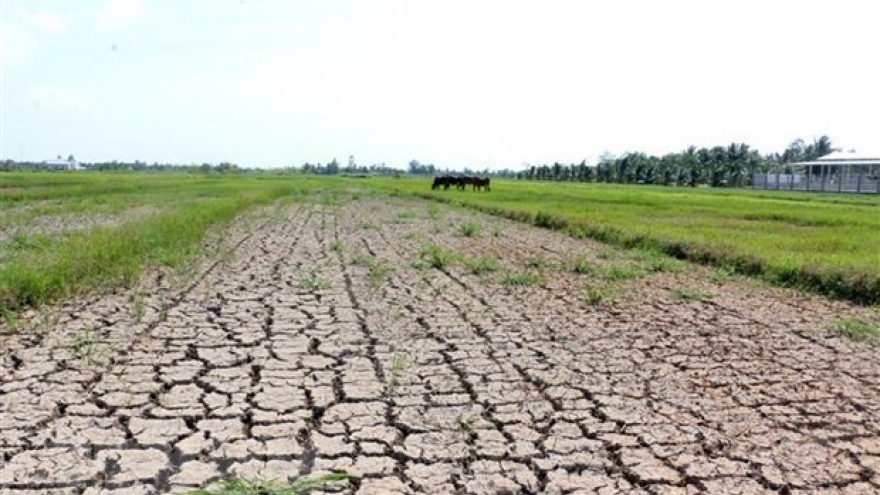 Plan aims to improve Vietnam’s adaptation to climate change