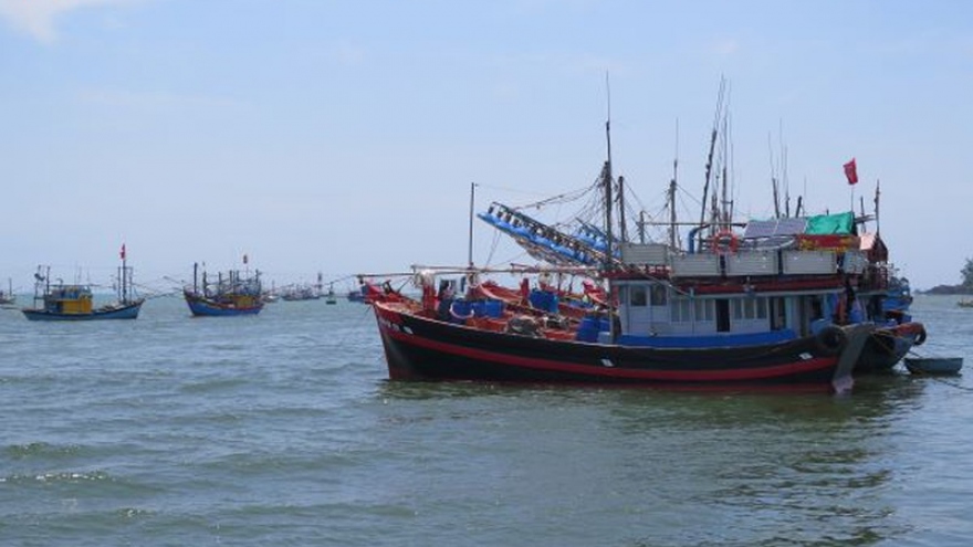 Hơn 2.000 tàu cá ở Quảng Ngãi không đăng ký, đăng kiểm