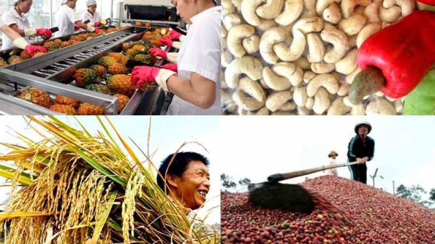 Agricultural trade surplus climbs above US$5 billion mark