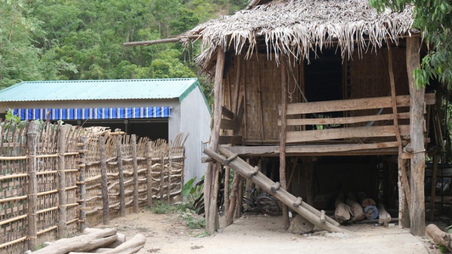 Cận cảnh những chuồng bò “hạng sang” trong đề án trăm tỷ ở Nghệ An