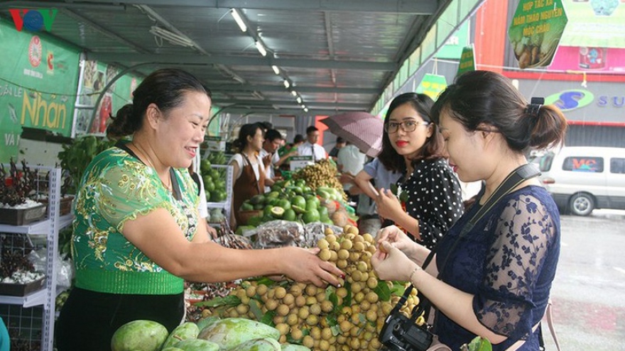 Gần 30 tấn nhãn huyện Sông Mã xuất khẩu chính ngạch sang Trung Quốc