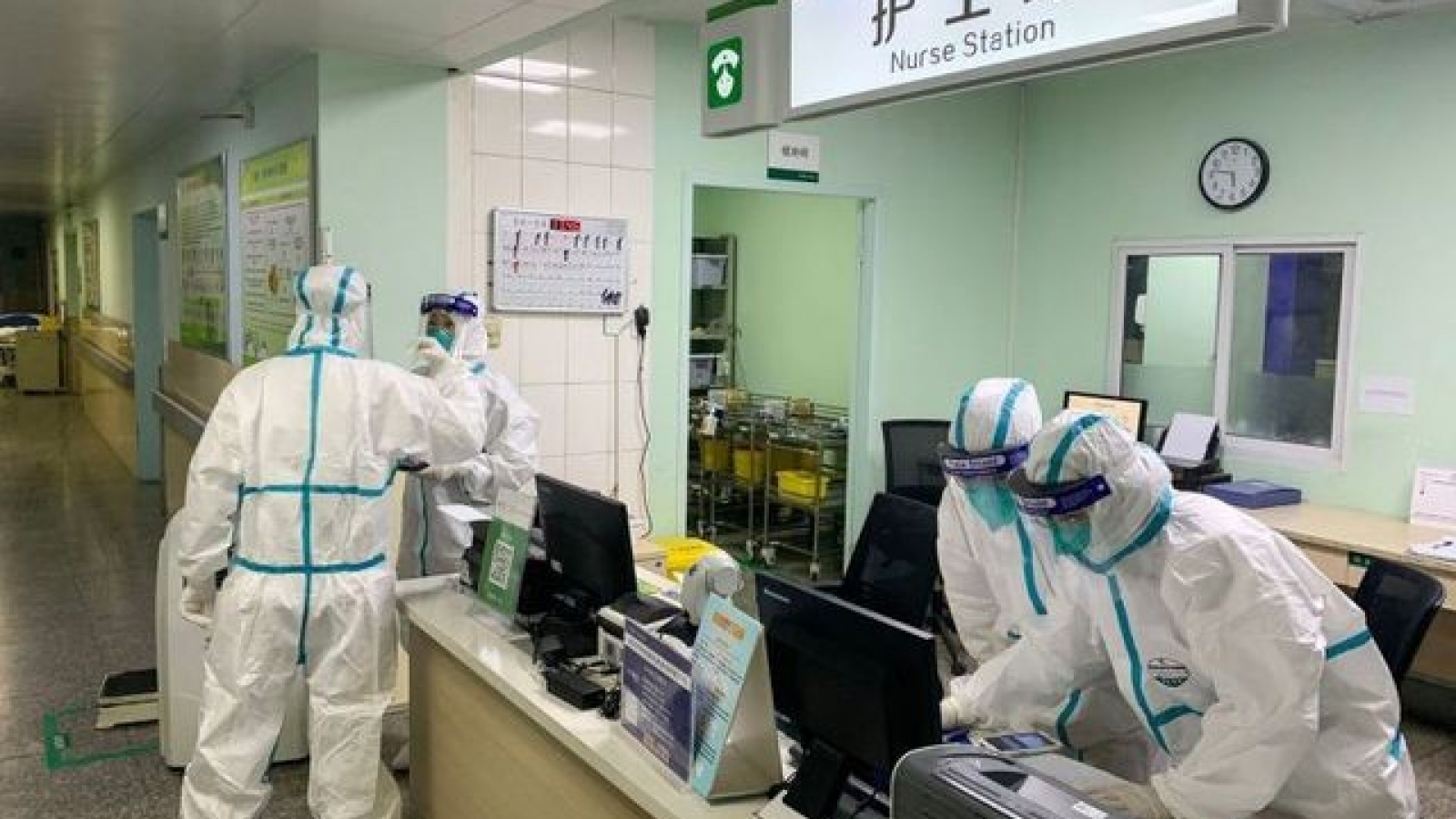 "Người dơi" Trung Quốc phủ nhận SARS-CoV-2 bắt nguồn từ Vũ Hán