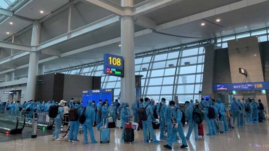 More than 300 Vietnamese nationals safely return from RoK