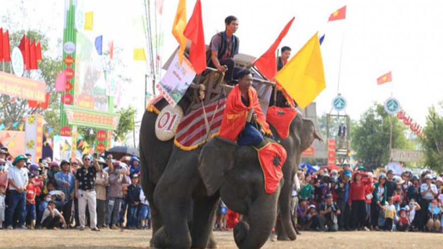 Dak Lak halts Buon Ma Thuot coffee festival in 2021