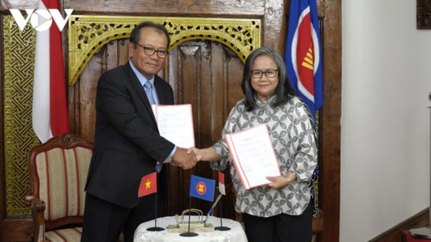 Vietnam takes on role of ASEAN Committee Chair in Czech Republic