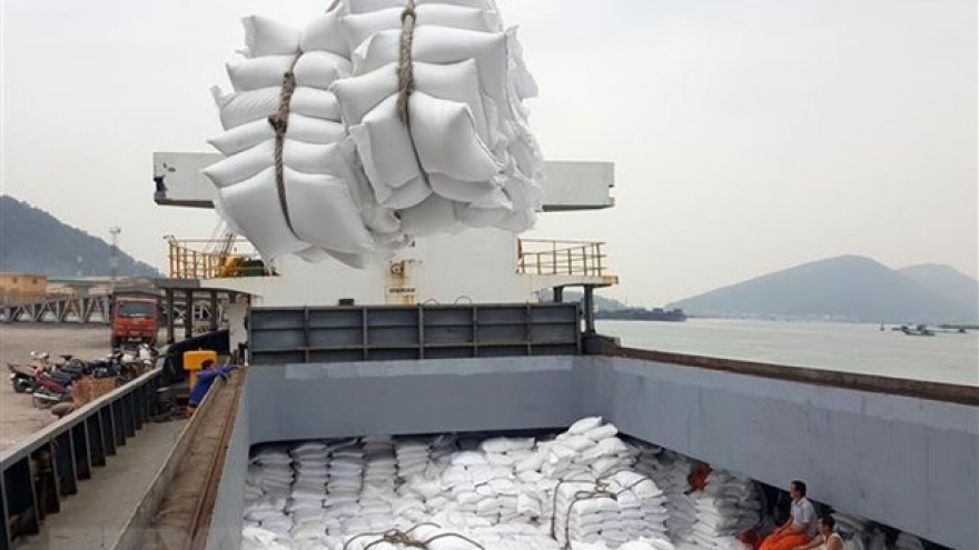Vietnam’s rice exports to Africa continue to rise