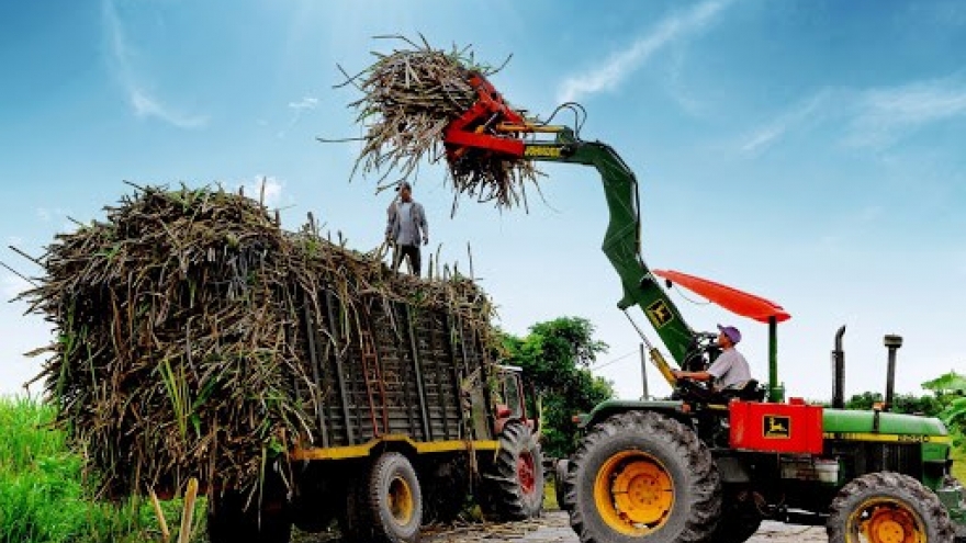 Vietnam promotes measures to manage local sugar market