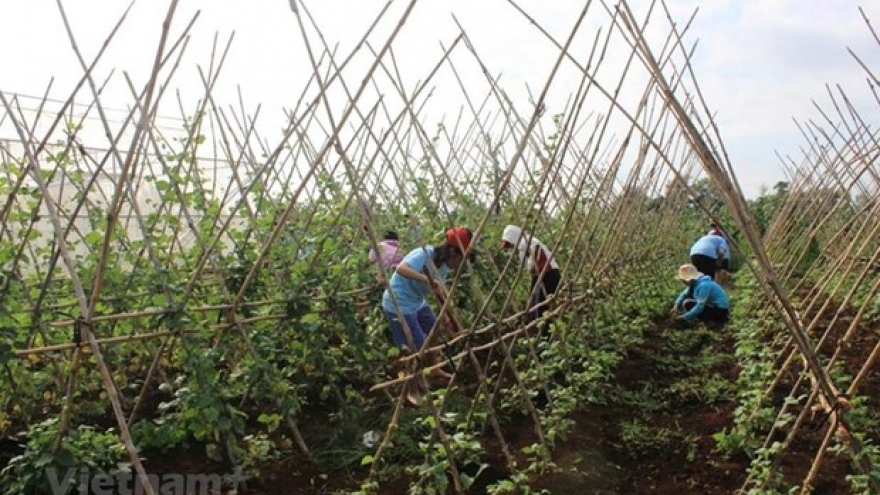 Vietnam’s CPI index goes up slightly in August