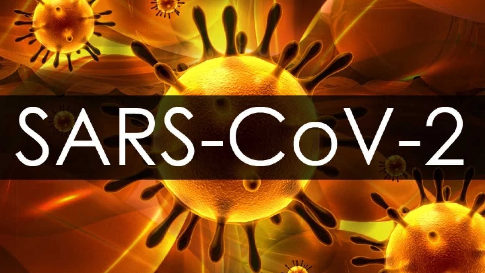 Ấn Độ phát hiện 163 ca mắc biến thể mới của virus SARS-CoV-2