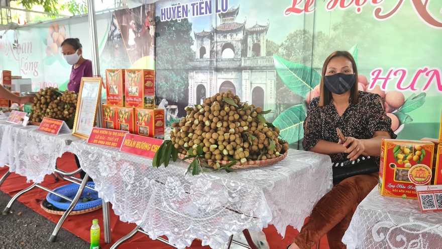 Tuần lễ nhãn lồng Hưng Yên tại Hà Nội tạm hoãn do ảnh hưởng Covid-19