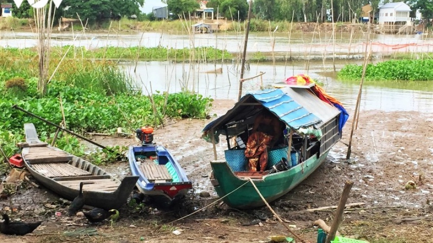 Người dân An Giang ngóng mùa nước nổi để mưu sinh