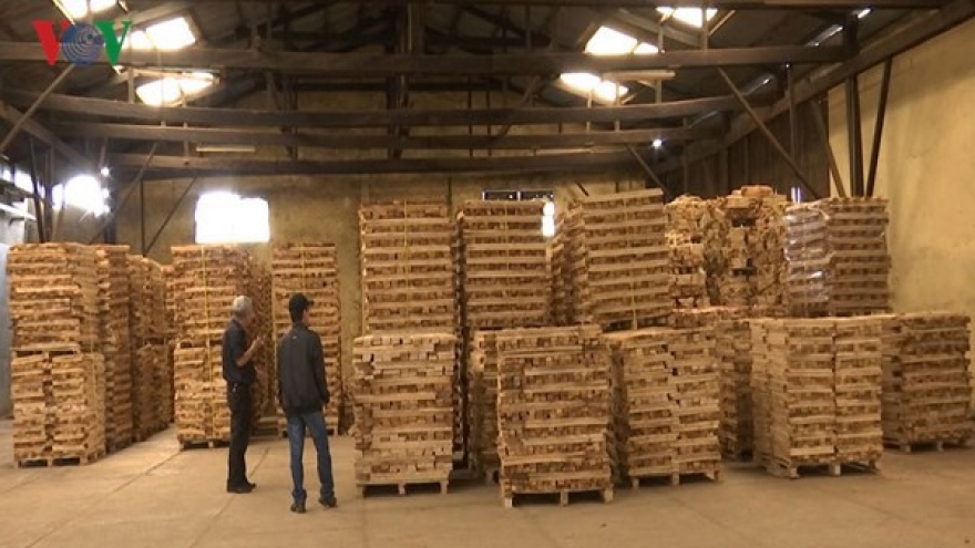 Wood exports witness rebound over seven-month period