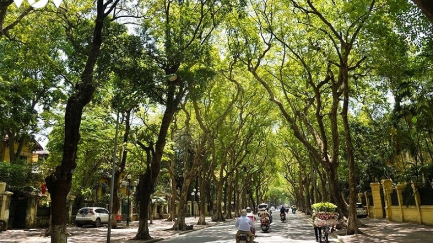 Thời tiết hôm nay (3/9): Hà Nội ngày nắng nóng, chiều tối có mưa dông