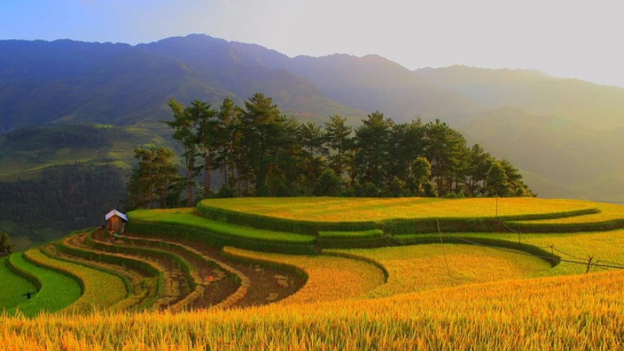 Ảnh dự thi “Việt Nam trong tôi“: Vẻ đẹp Sáng Nhù - Mù Cang Chải