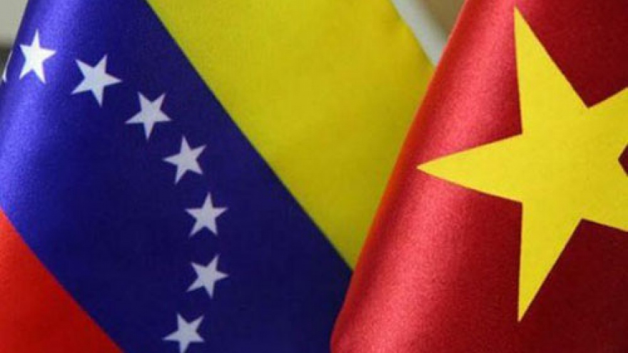 Tham khảo Chính trị cấp Thứ trưởng Ngoại giao Việt Nam-Venezuela lần 8