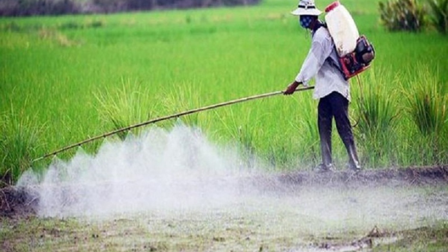 Bất thường việc nhiều thai nhi không được chào đời