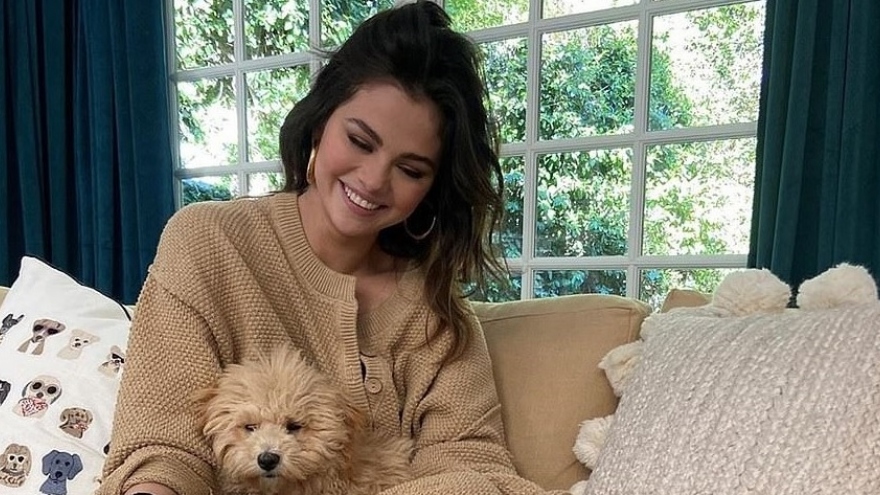 Selena Gomez bán căn biệt thự ngập tràn sắc xanh với giá 2,37 triệu USD