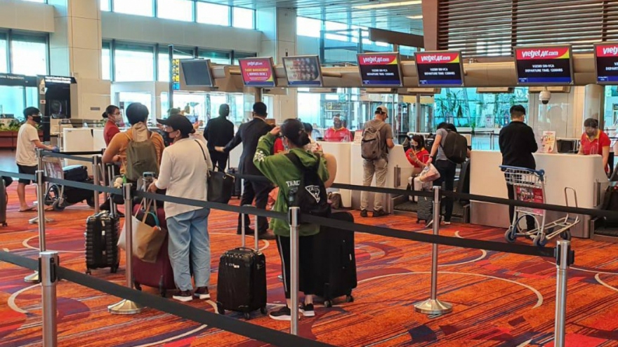 More than 230 Vietnamese citizens safely repatriated from Singapore
