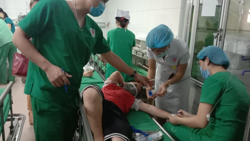 Bị ong đốt, 16 học sinh tại thành phố Vinh nhập viện
