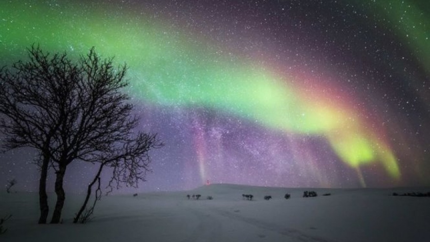 Cực quang uốn lượn trên nền trời đêm tuyệt đẹp ở Phần Lan