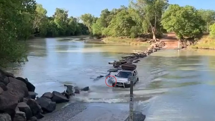 Tài xế vô tình “cán” qua cá sấu ở “khúc sông tử thần” Cahills Crossing (Australia)