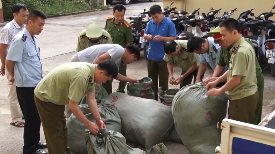 Lạng Sơn: Bắt giữ gần 350 kg nguyên liệu thuốc bắc nhập lậu